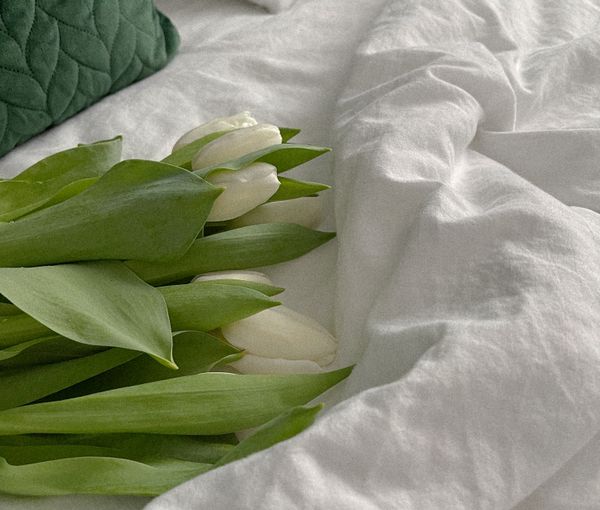 Linen & Loom